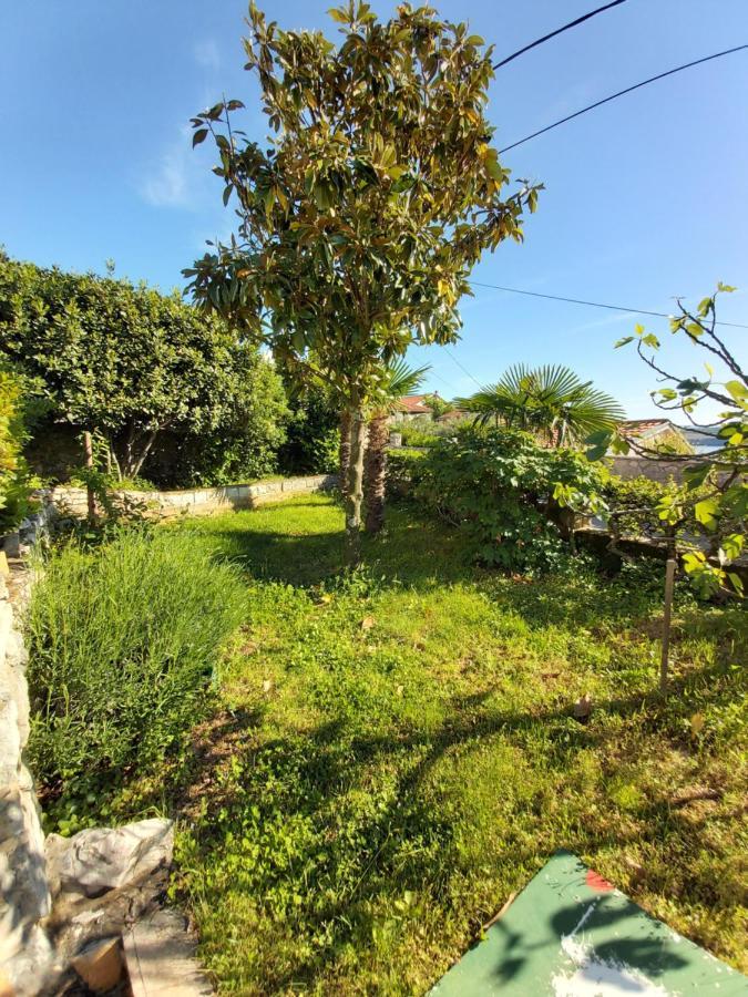 Apartmán Viva Jadranovo Exteriér fotografie